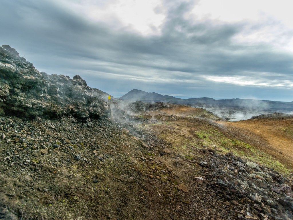 08-01-21-16.57.37.DNG