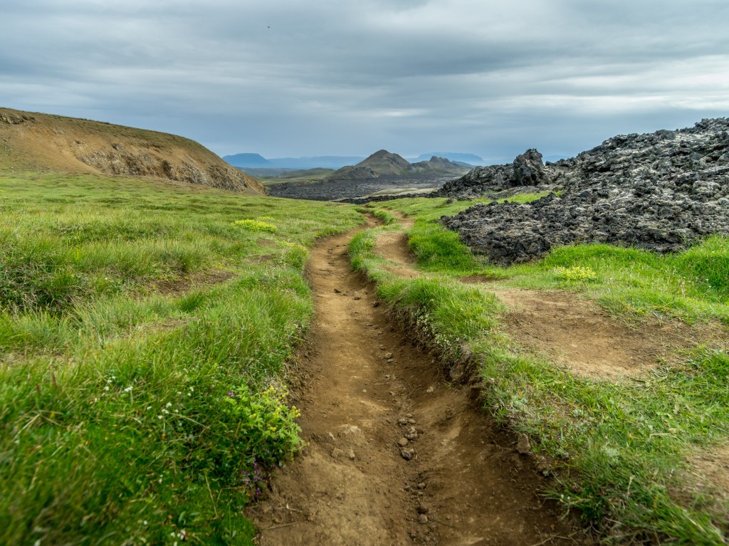 08-01-21-17.01.50.DNG