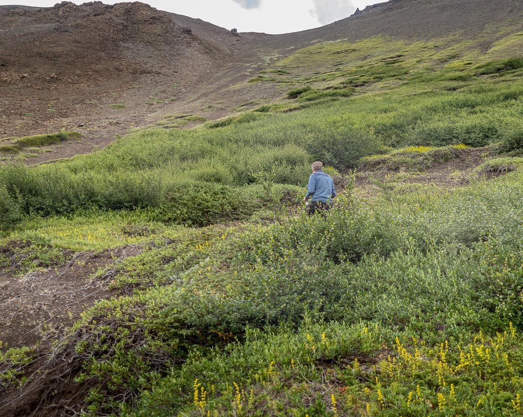 Pentax K-1 / 3 Pentax K-1   3