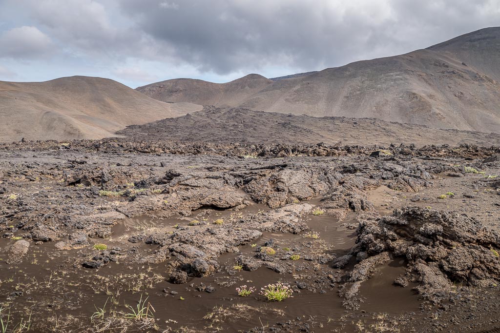 Pentax K-1 / 3 Pentax K-1   3
