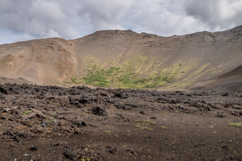 Pentax K-1 / 3 Pentax K-1   3