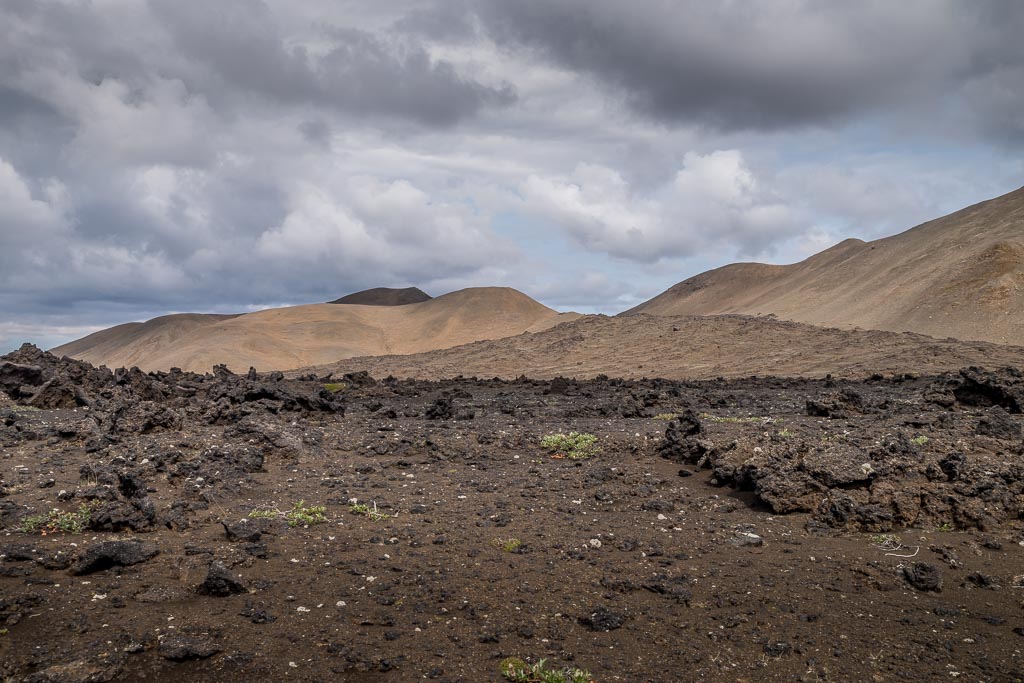 Pentax K-1 / 3 Pentax K-1   3