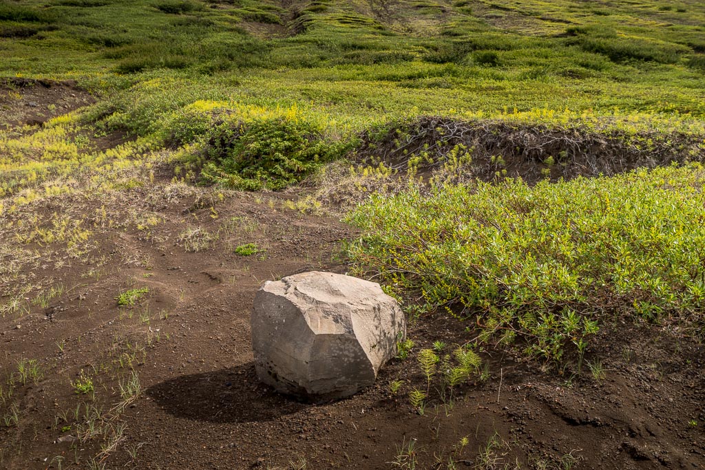 Pentax K-1 / 3 Pentax K-1   3