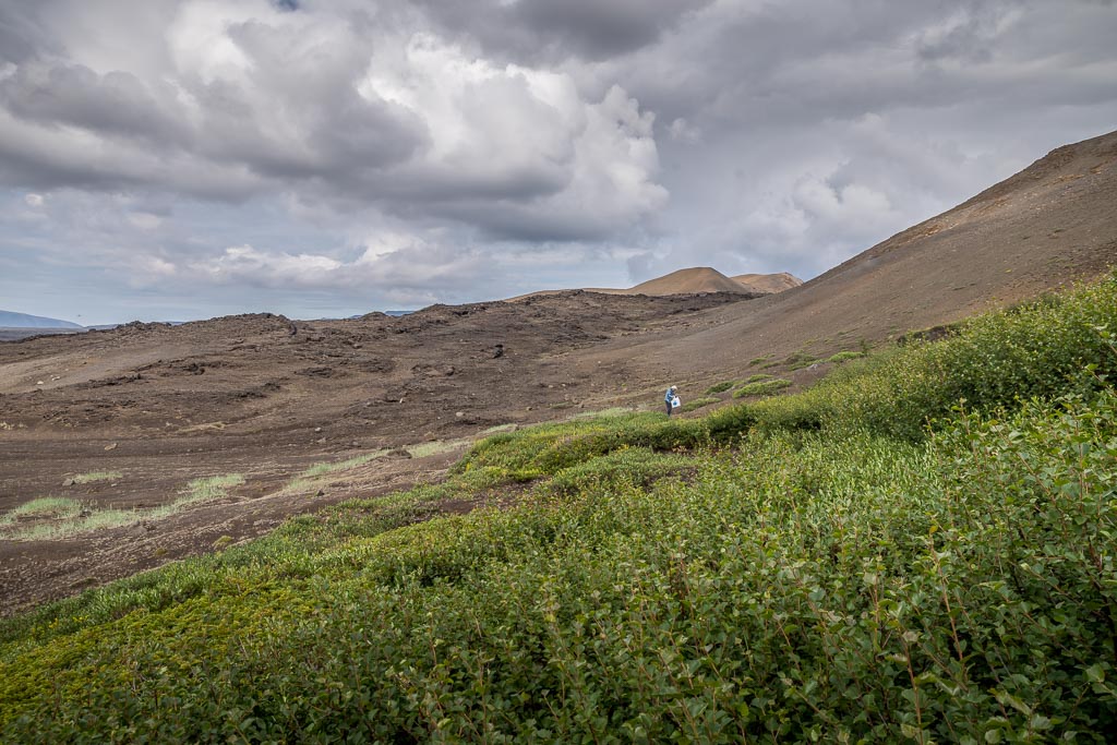 Pentax K-1 / 3 Pentax K-1   3