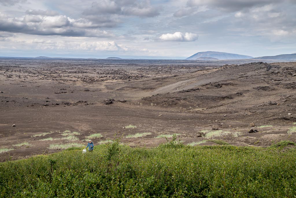 Pentax K-1 / 3 Pentax K-1   3