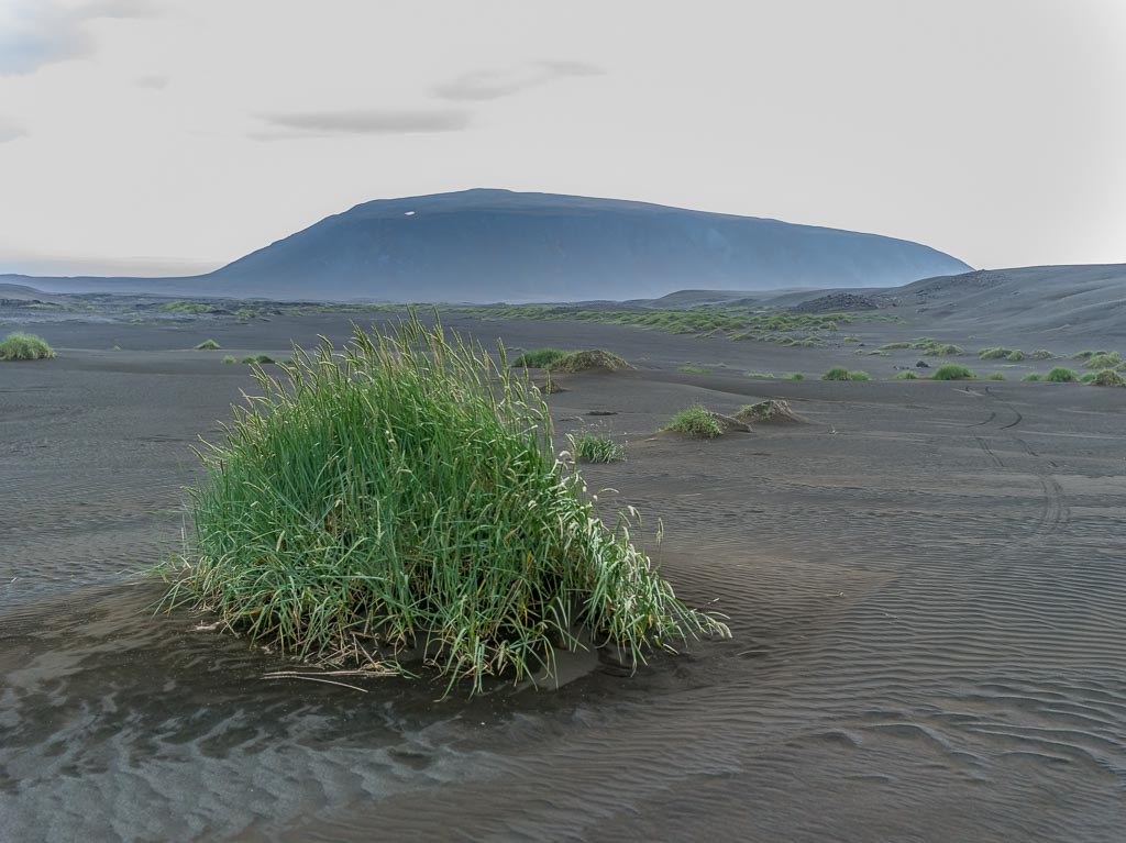 Pentax 645D / 3 Pentax 645D   3