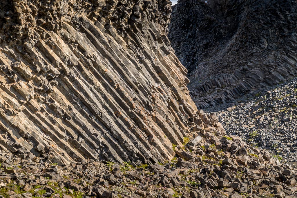 Pentax K-1 / 9 Pentax K-1   9