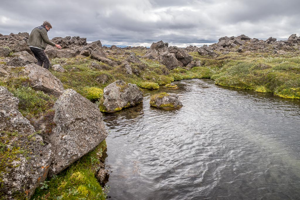 Pentax K-1 / 14 Pentax K-1   14