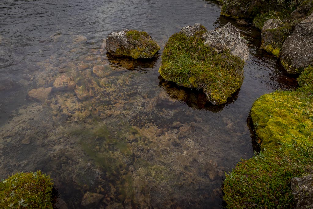 Pentax K-1 / 14 Pentax K-1   14