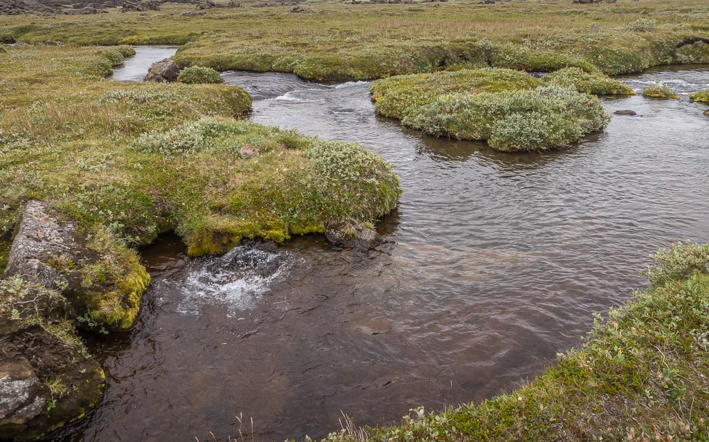 Pentax K-1 / 14 Pentax K-1   14