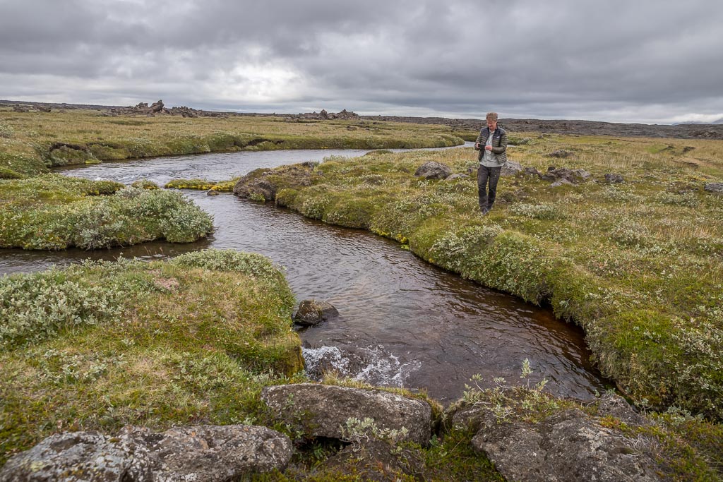 Pentax K-1 / 14 Pentax K-1   14