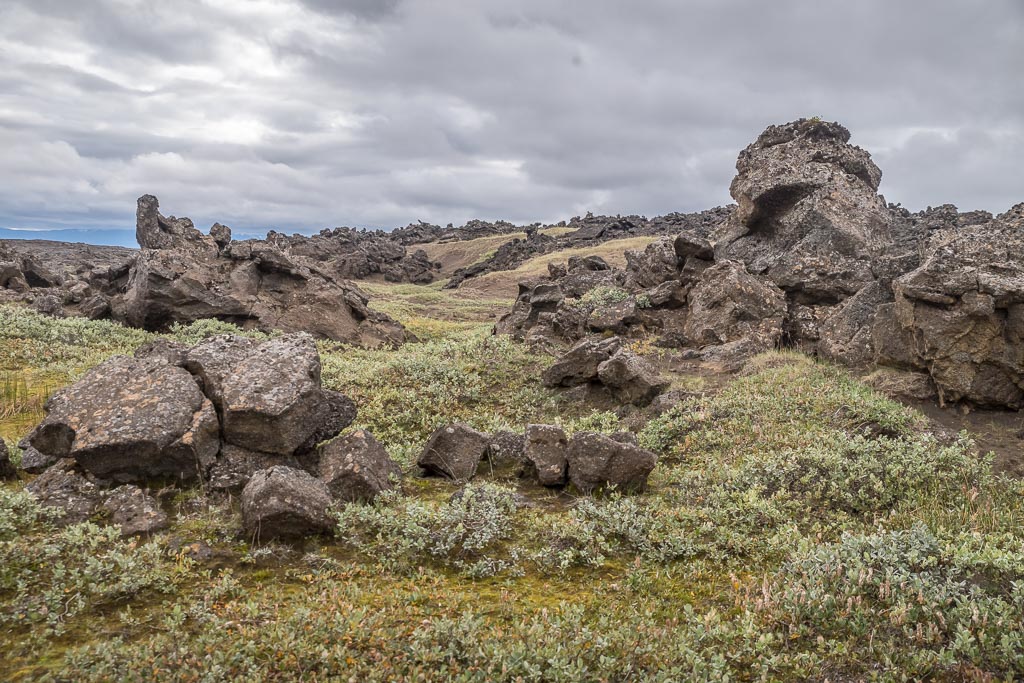 Pentax K-1 / 14 Pentax K-1   14