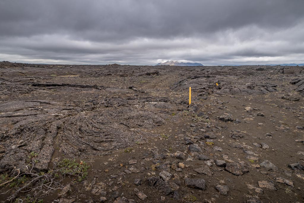 Pentax K-1 / 14 Pentax K-1   14