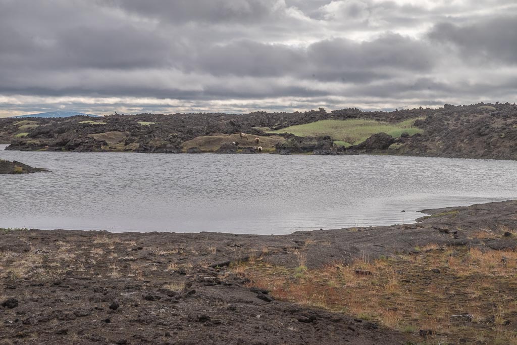 Pentax K-1 / 14 Pentax K-1   14