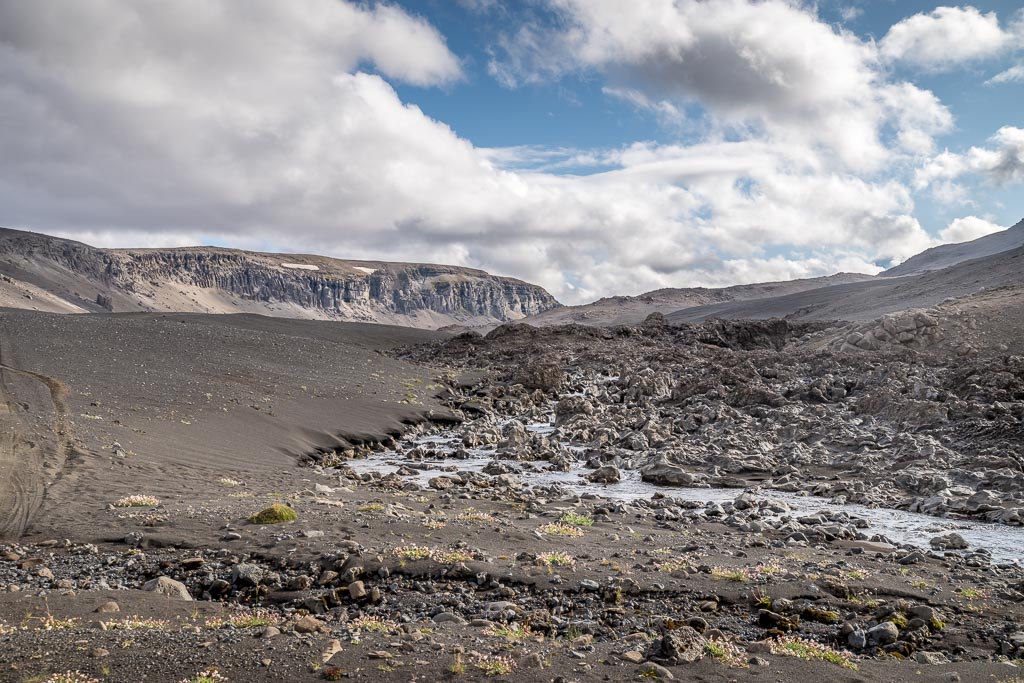 Pentax K-1 / 14 Pentax K-1   14