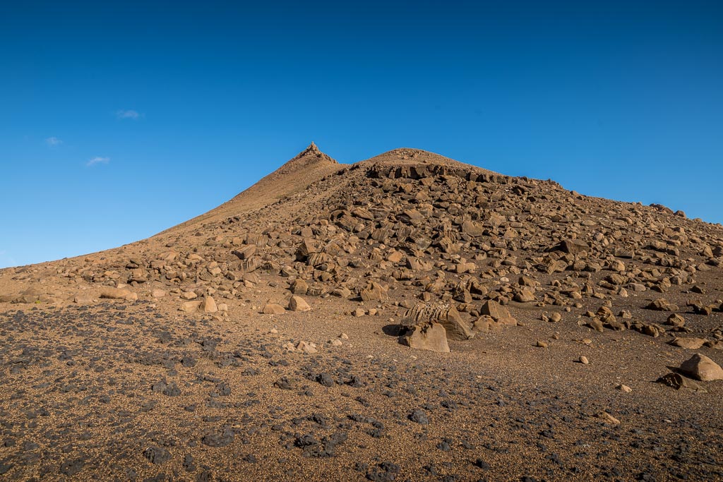 Pentax K-1 / 14 Pentax K-1   14