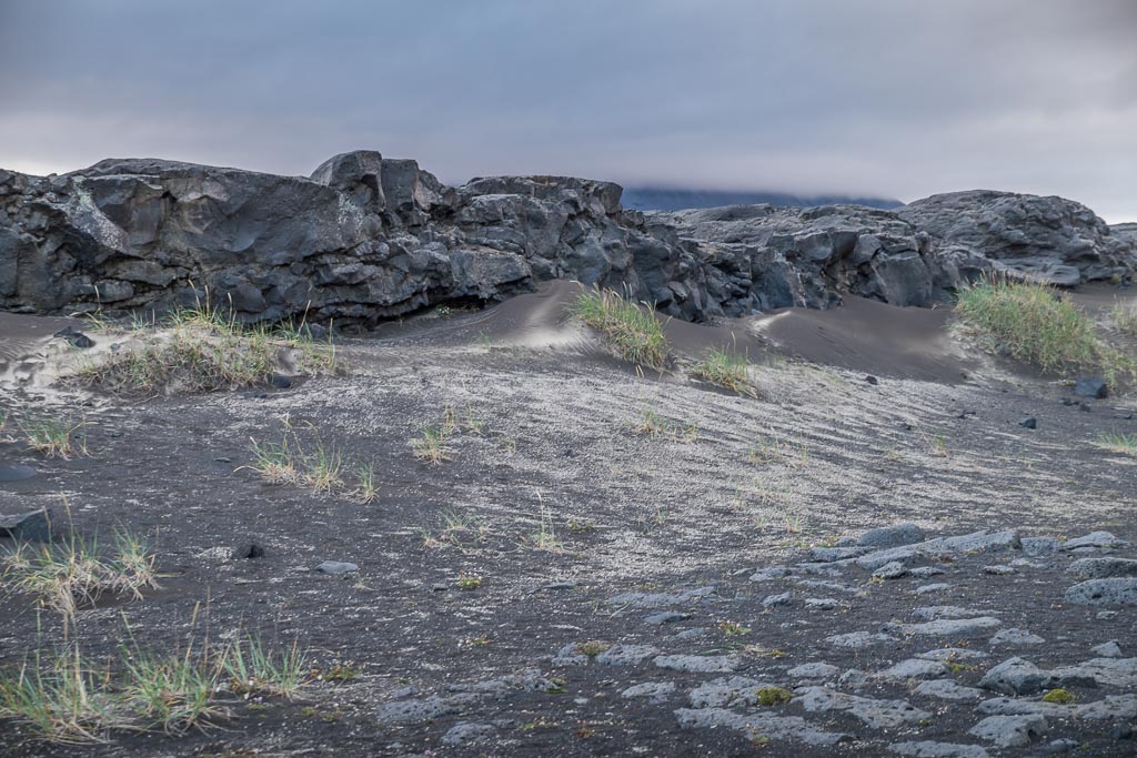 Pentax K-1 / 14 Pentax K-1   14