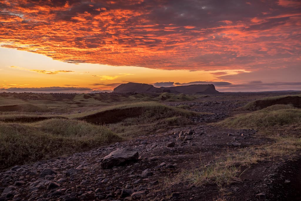 Pentax K-1 / 14 Pentax K-1   14