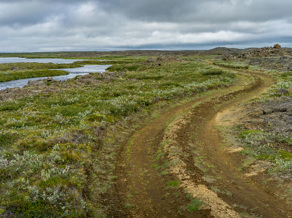 Pentax 645D / 14 Pentax 645D   14