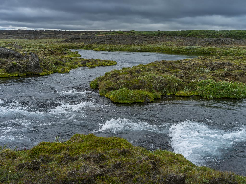 Pentax 645D / 14 Pentax 645D   14