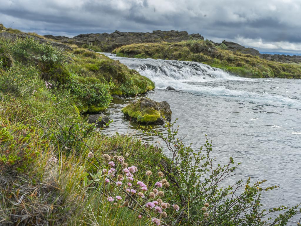 Pentax 645D / 14 Pentax 645D   14