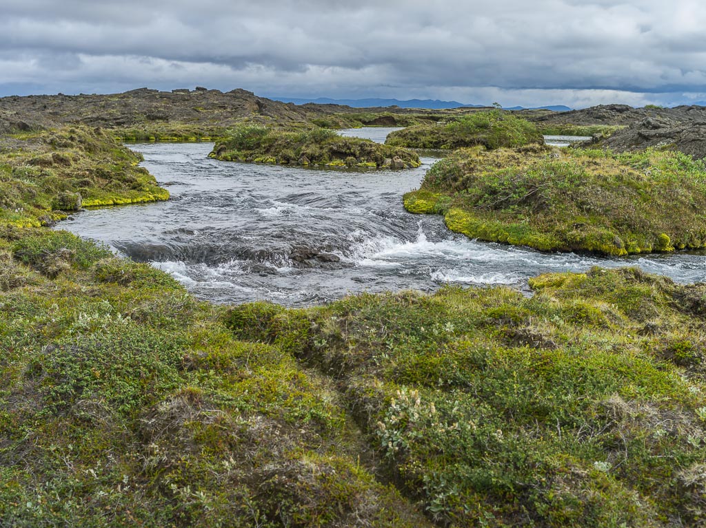 Pentax 645D / 14 Pentax 645D   14