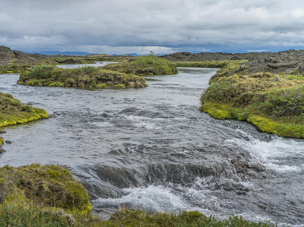 Pentax 645D / 14 Pentax 645D   14