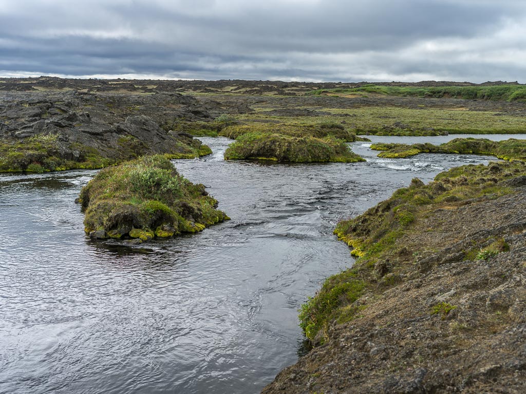 Pentax 645D / 14 Pentax 645D   14