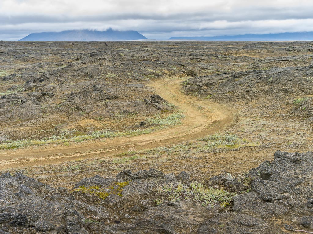 Pentax 645D / 14 Pentax 645D   14