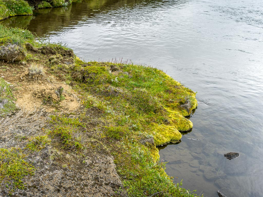 Pentax 645D / 14 Pentax 645D   14