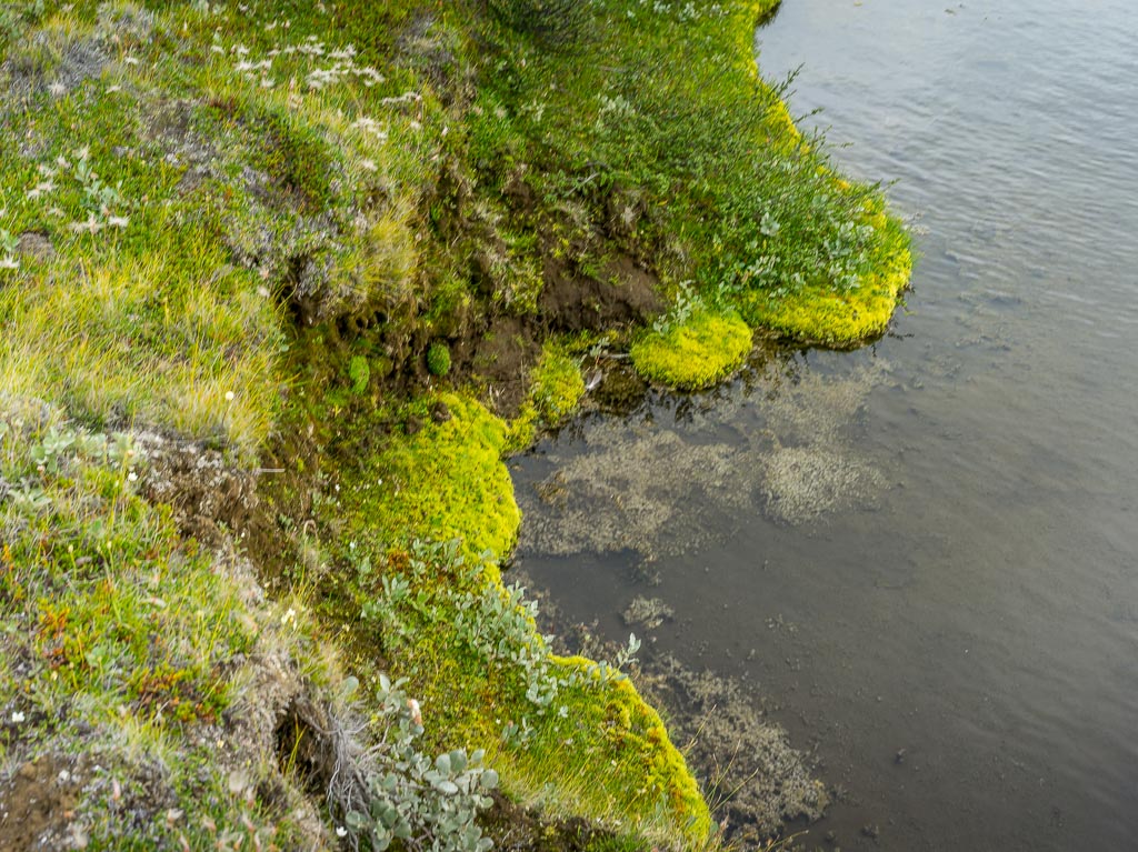 Pentax 645D / 14 Pentax 645D   14