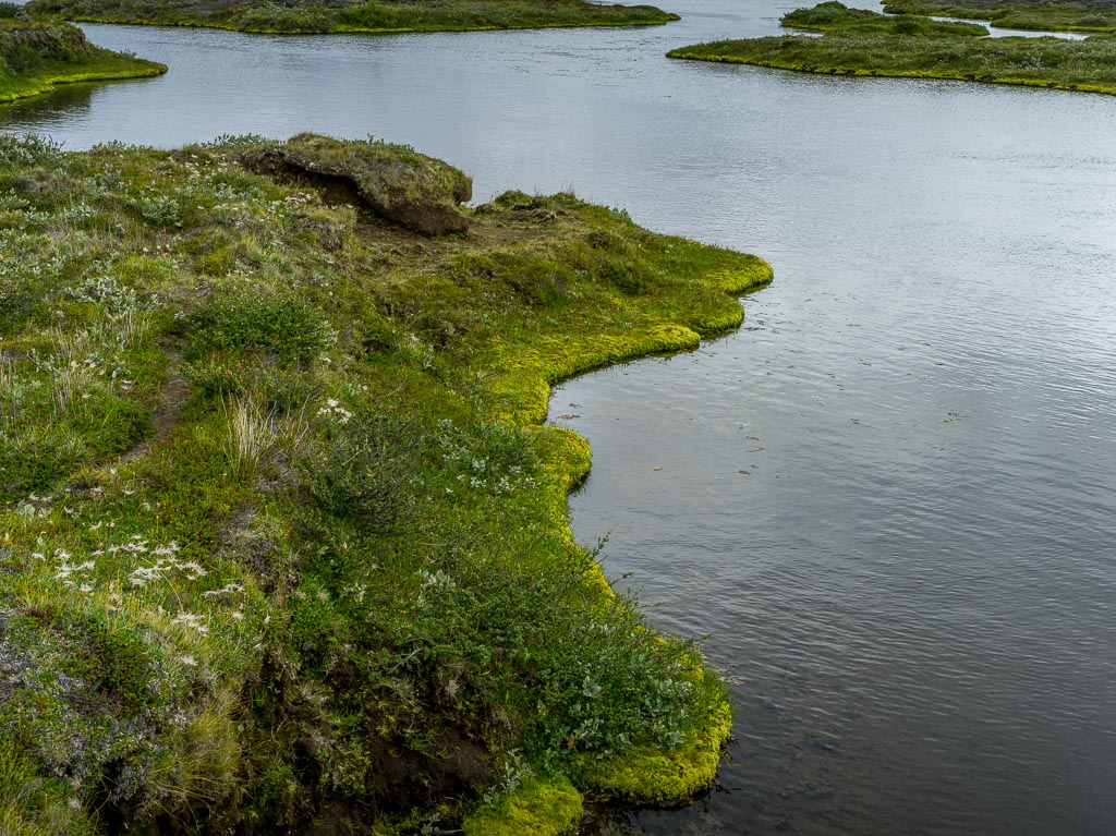 Pentax 645D / 14 Pentax 645D   14