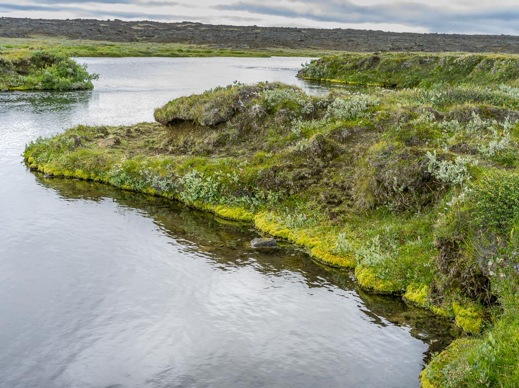 Pentax 645D / 14 Pentax 645D   14