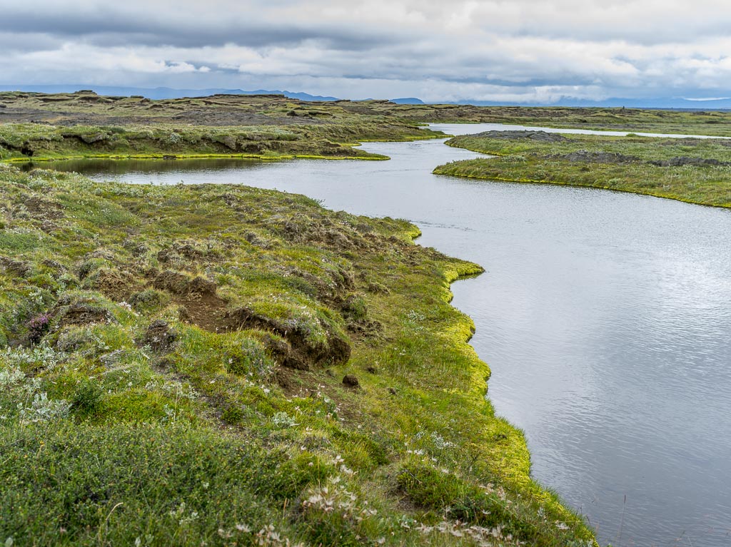 Pentax 645D / 14 Pentax 645D   14