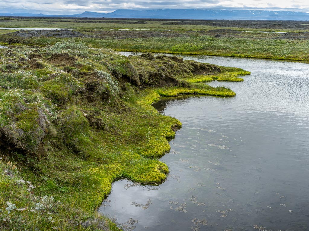 Pentax 645D / 14 Pentax 645D   14