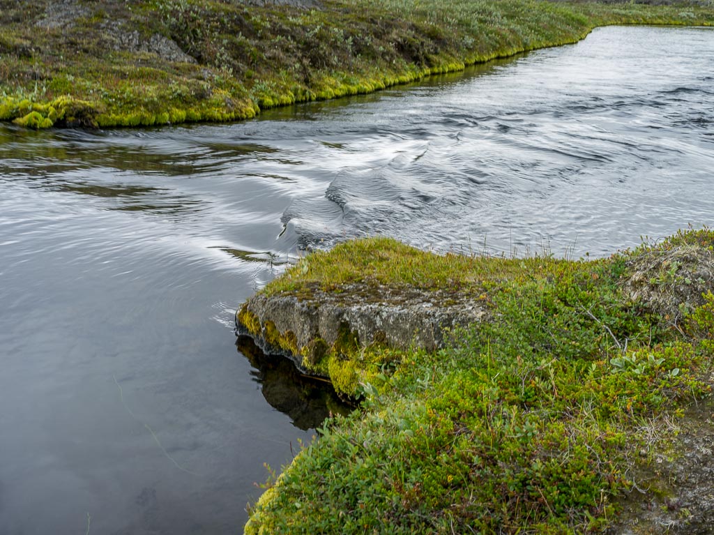 Pentax 645D / 14 Pentax 645D   14