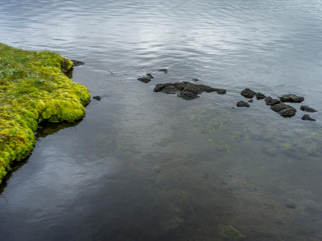 Pentax 645D / 14 Pentax 645D   14