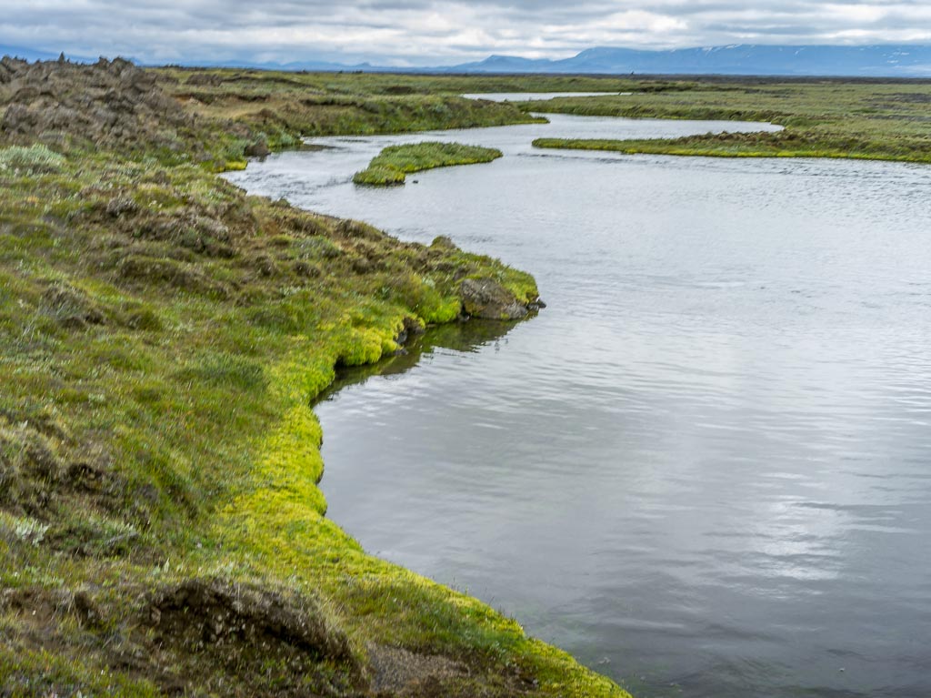 Pentax 645D / 14 Pentax 645D   14