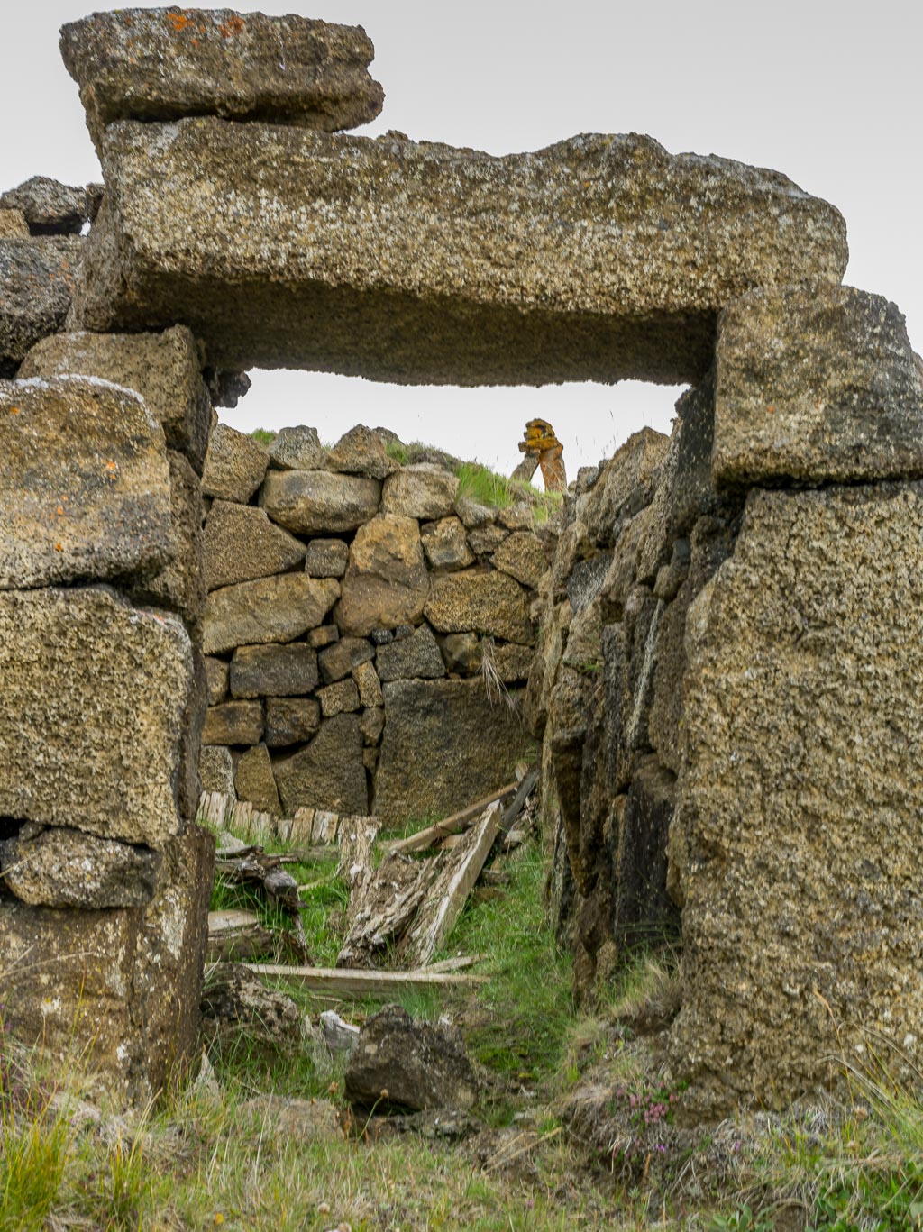 Pentax 645D / 14 Pentax 645D   14