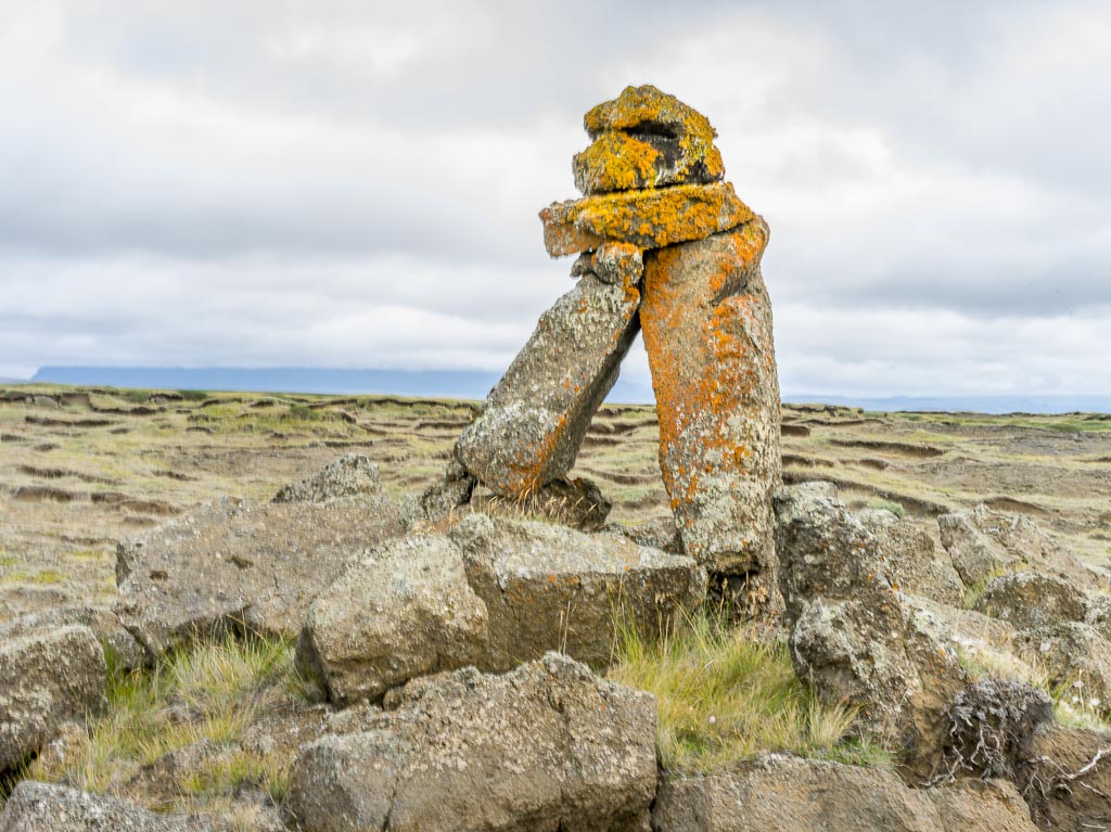 Pentax 645D / 14 Pentax 645D   14