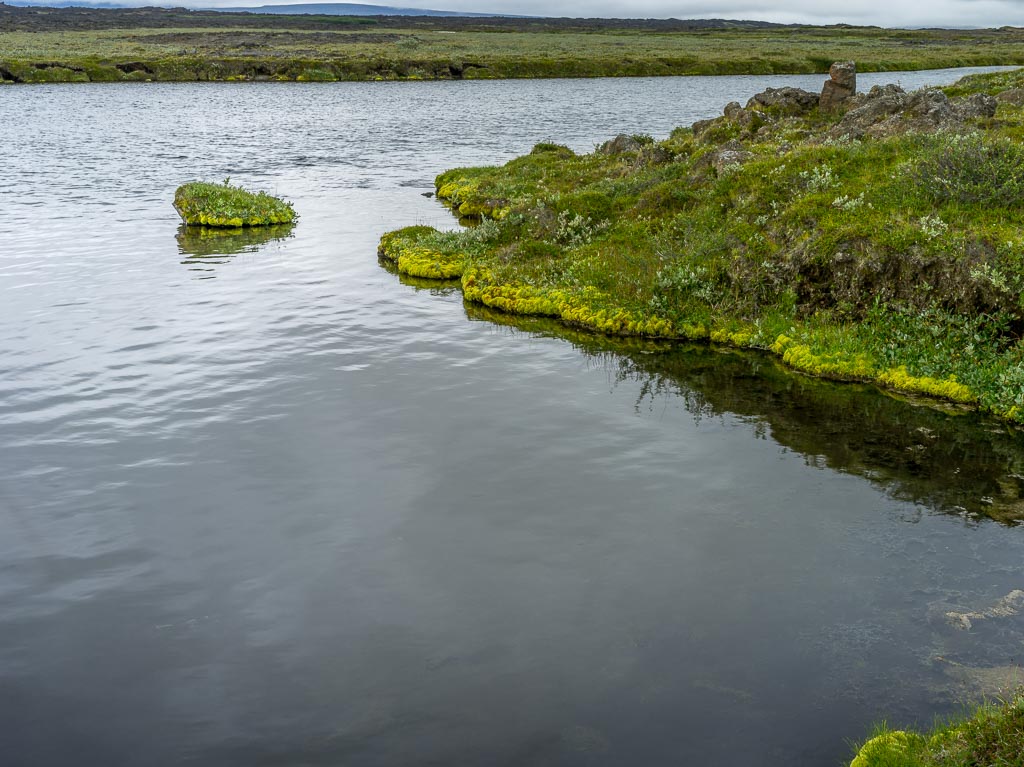 Pentax 645D / 14 Pentax 645D   14