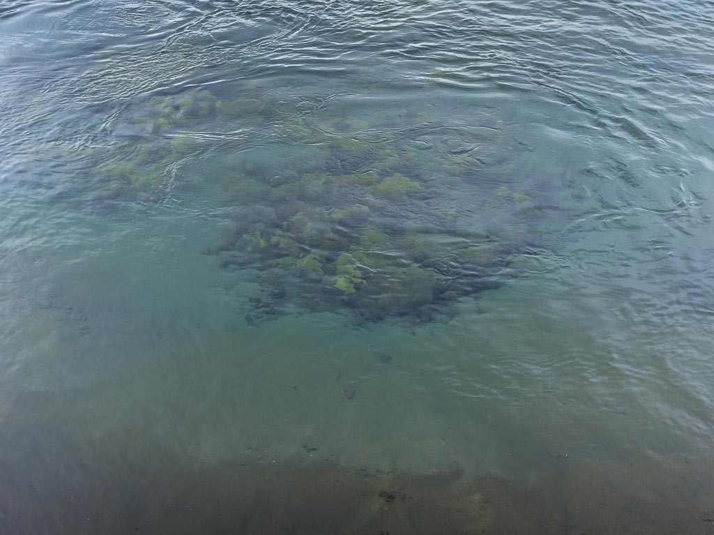 Pentax 645D / 14 Pentax 645D   14