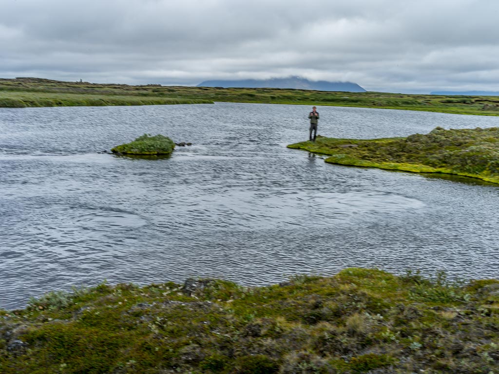 Pentax 645D / 14 Pentax 645D   14