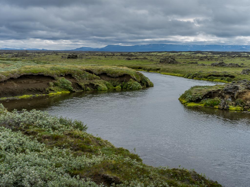 Pentax 645D / 14 Pentax 645D   14