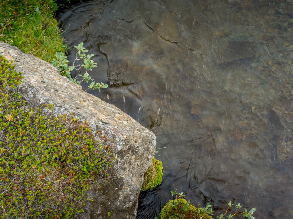 Pentax 645D / 14 Pentax 645D   14