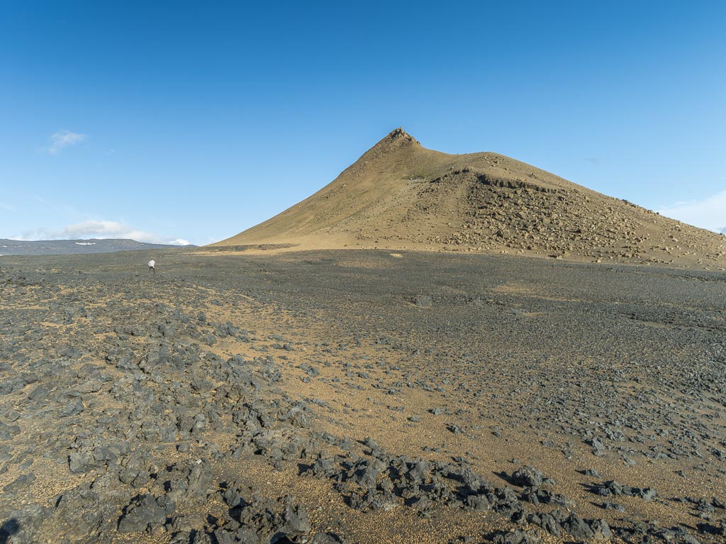 Pentax 645D / 14 Pentax 645D   14