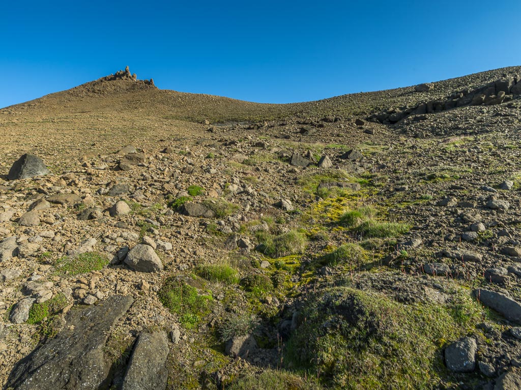 Pentax 645D / 14 Pentax 645D   14