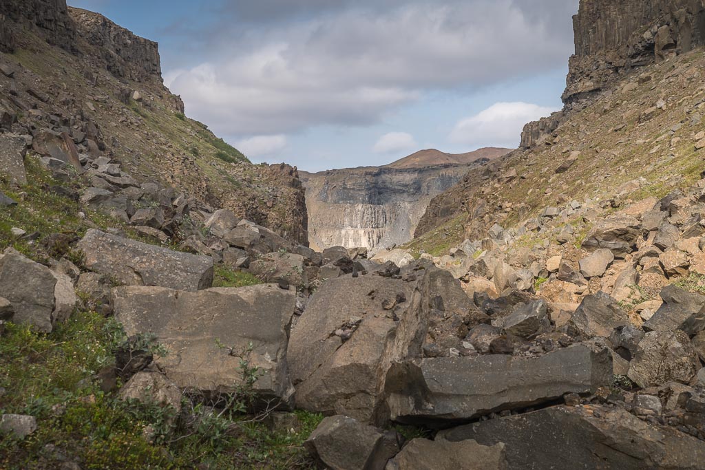 Pentax K-1 / 19 Pentax K-1   19