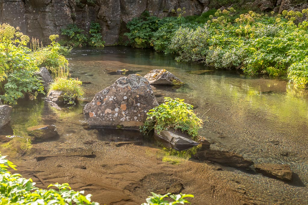 Pentax K-1 / 19 Pentax K-1   19