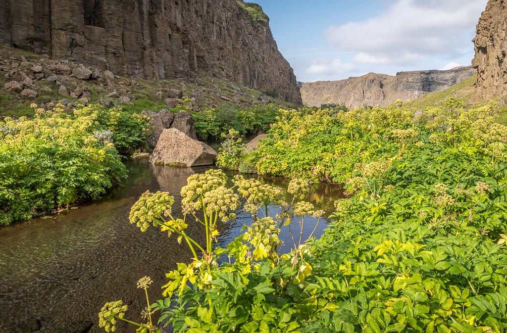 Pentax K-1 / 19 Pentax K-1   19